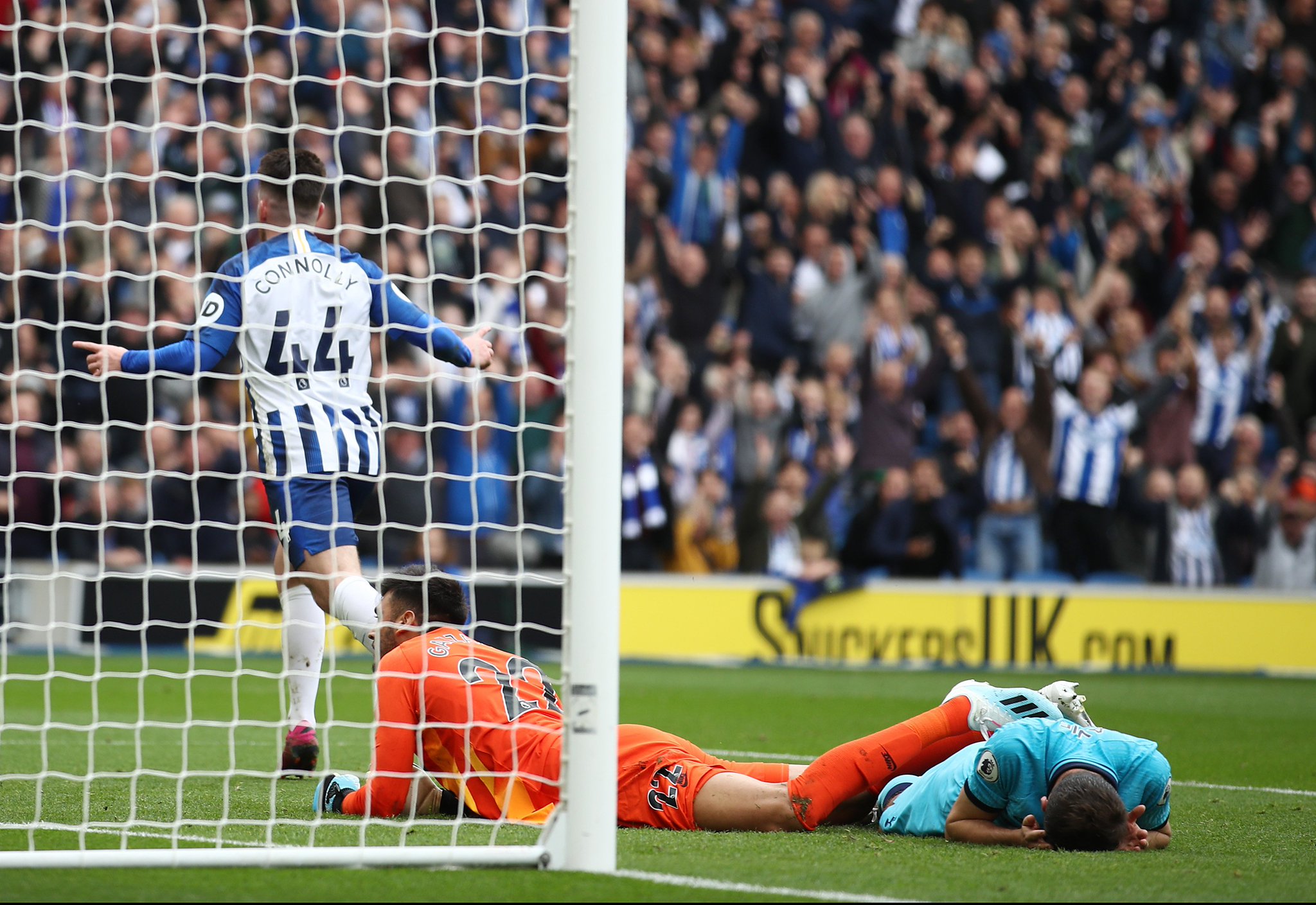 健康和活力 健康和活力